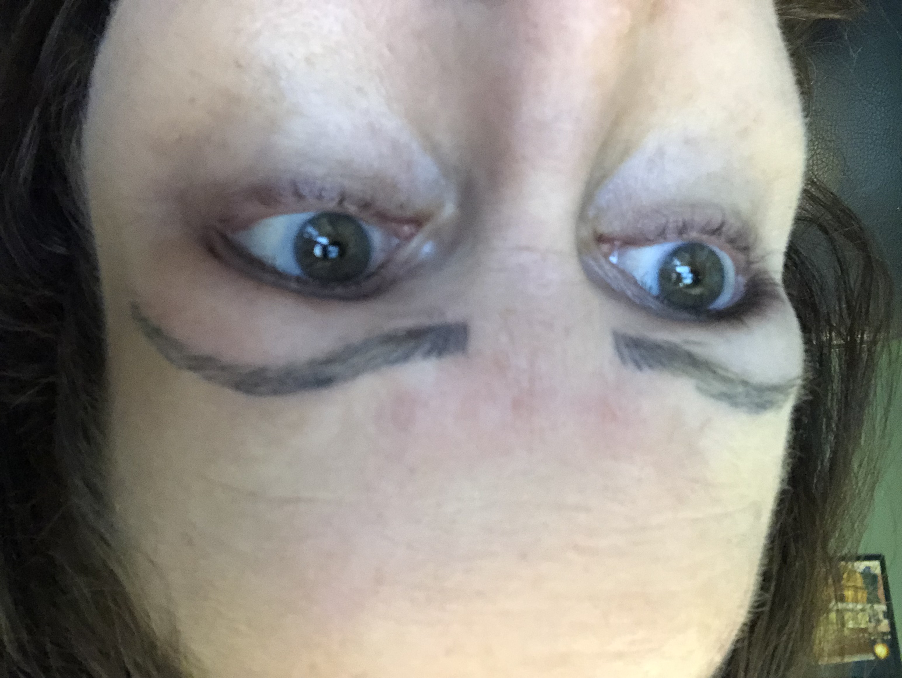 Microbladed Eyebrows 2 months later Closeup